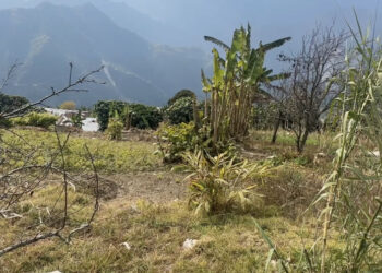 Kengkhar Gewog approves chain-link fencing to curb wildlife damage, Monggar