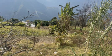 Kengkhar Gewog approves chain-link fencing to curb wildlife damage, Monggar