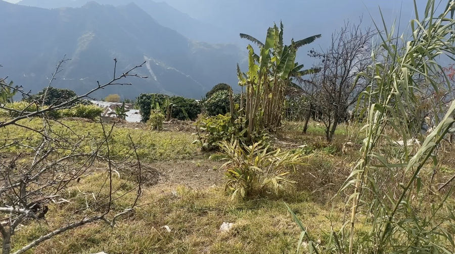 Kengkhar Gewog approves chain-link fencing to curb wildlife damage, Monggar