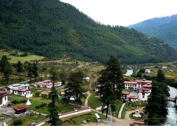 Timely rainfall expected despite high risk of fire-related disasters this New Fire Male Horse Year