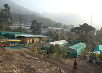 New nursery in Nganglam opens income opportunities for eastern farmers