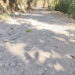 Half the road done, hope for full blacktop in Martshala