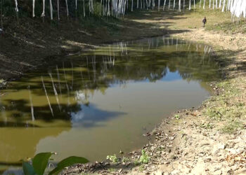 Decades-long dry lake in Pema Gatshel shows signs of revival