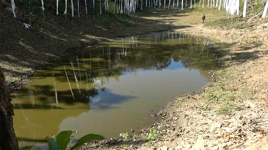 Decades-long dry lake in Pema Gatshel shows signs of revival