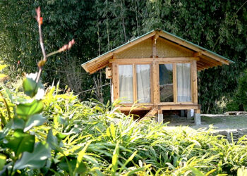 Community-led ecotourism brings new hope to Lhop community in Samtse