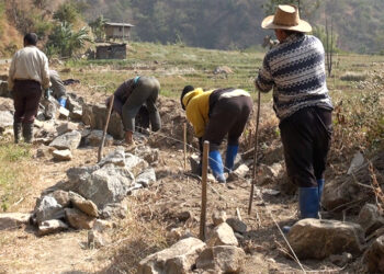 First agri-tourism site taking shape in Yomdi, Trashigang