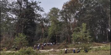 GMC voluntary work shifts from bush clearing to master plan implementation