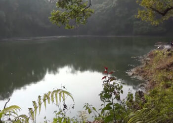 Local homestays benefit as visitor numbers grow at Buli Tsho