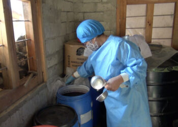 From backyard harvest to bottled hope: A winemaker’s quiet struggle in Yangtse