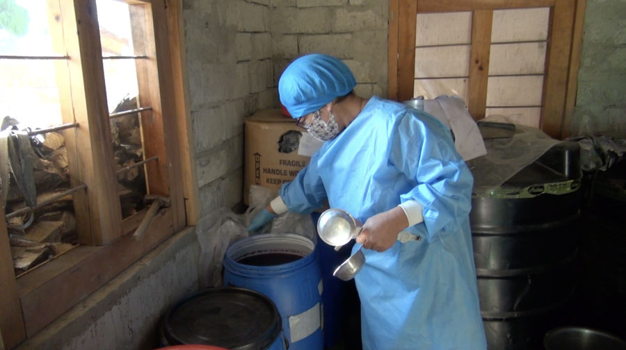 From backyard harvest to bottled hope: A winemaker’s quiet struggle in Yangtse