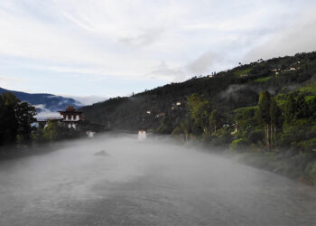 Bhutan prepares to join International Model Forest Network, targets first model forest within three years