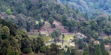 Zip line planned at Lamperi Park as ecotourism push continues
