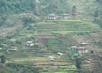 Census in one gewog, votes in another: Papaling residents seek clarity