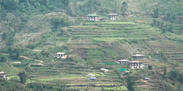 Census in one gewog, votes in another: Papaling residents seek clarity