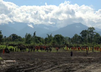 Gelephu Mindfulness City offers tax incentives for national service participants