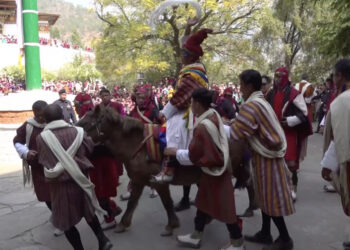 Decline in horse rearing challenges Pazaap tradition