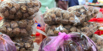 GST cut fails to lower doma prices