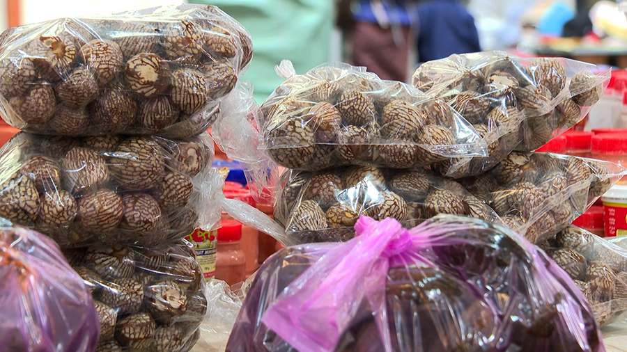 GST cut fails to lower doma prices