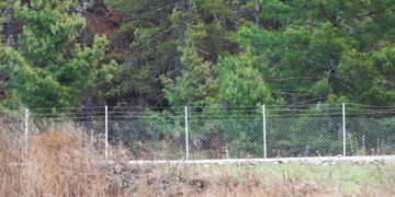 Fencing helps farmers reclaim abandoned farmland in Haa