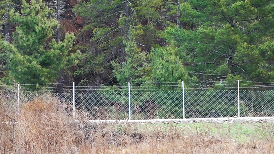Fencing helps farmers reclaim abandoned farmland in Haa
