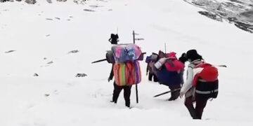 18 suspected of illegal cordyceps collection in Lunana