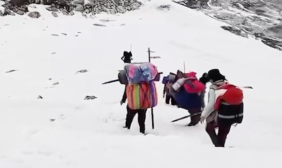 18 suspected of illegal cordyceps collection in Lunana