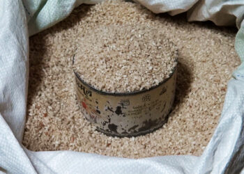 Trashi Yangtse farmers continue rice farming despite wildlife losses