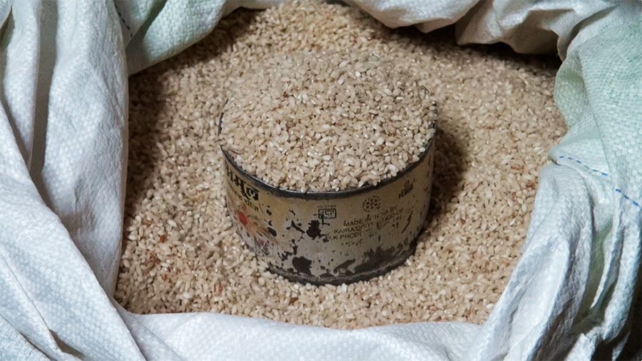 Trashi Yangtse farmers continue rice farming despite wildlife losses