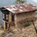 Rural-urban migration leaves homes abandoned in Dukti Chiwog