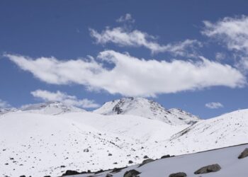 Lunana prepares for bumper cordyceps season amid encroachment concerns
