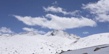 Lunana prepares for bumper cordyceps season amid encroachment concerns