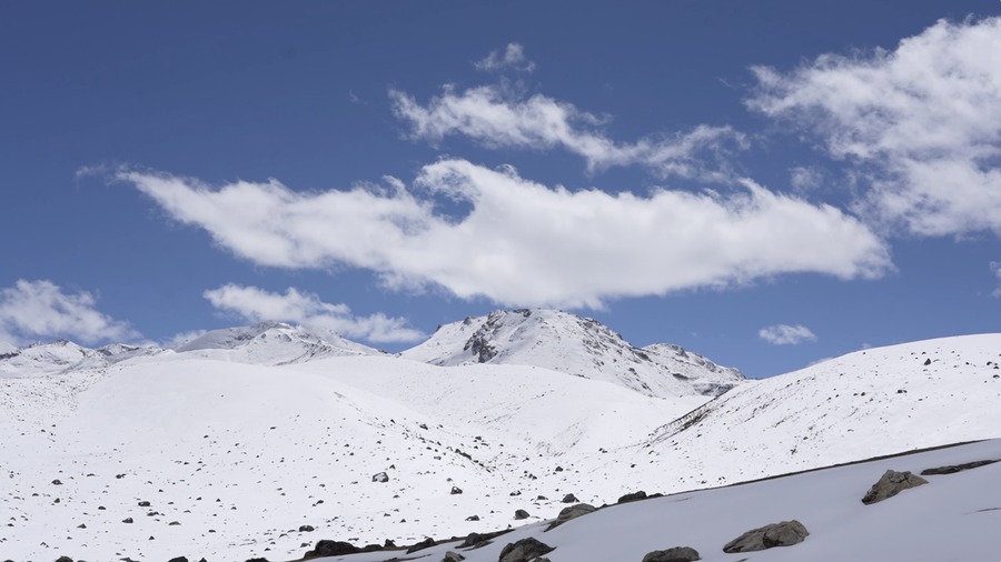 Lunana prepares for bumper cordyceps season amid encroachment concerns