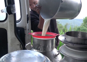 Tsirang’s dairy farmers find steady market