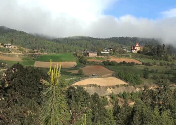 Health and hospitality training prepares Shingnyer village for tourism