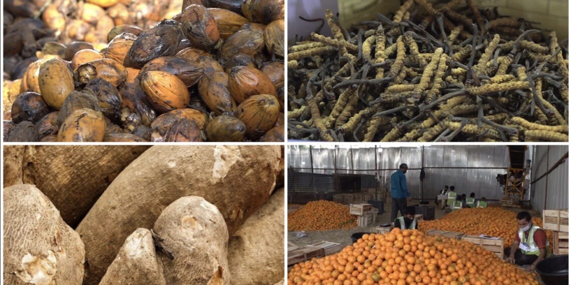 Agricultural exports continue to grow as Bhutan explores new markets