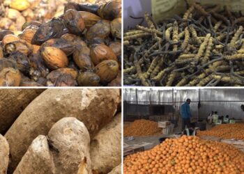 Agricultural exports continue to grow as Bhutan explores new markets