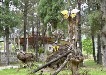 Dzomlingthang Park in Punakha expected to reopen by July