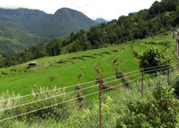 MPs raise concern over 30-acre threshold for chain-link fencing support