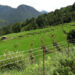 MPs raise concern over 30-acre threshold for chain-link fencing support