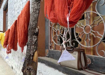 Training programme aims to revive natural wool dyeing for yathra weaving