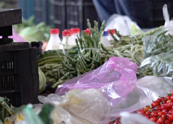 Paro district launches pilot initiative to reduce use of single-use plastic carry bags