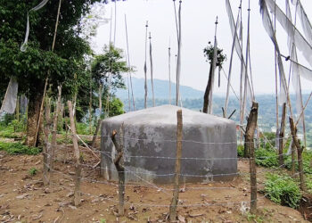New drinking water supply ends years of shortages