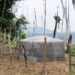 New drinking water supply ends years of shortages