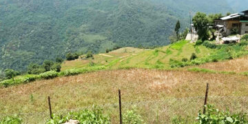 Chain-link fence protects over 150 acres of paddy fields from wild boars