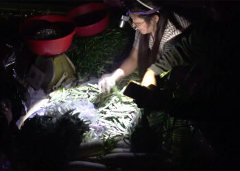 Tsirang vendors continue trading in darkness, awaiting market lights
