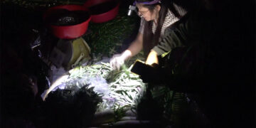 Tsirang vendors continue trading in darkness, awaiting market lights