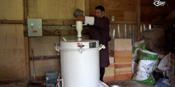 Young entrepreneur turns cattle fodder into thriving oat business