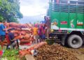Strong Indian demand drives ginger price surge in Samdrup Jongkhar