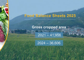 Bhutan’s cropped area shrinks by 13 per cent in three years: Food Balance Sheet Report