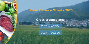 Bhutan’s cropped area shrinks by 13 per cent in three years: Food Balance Sheet Report